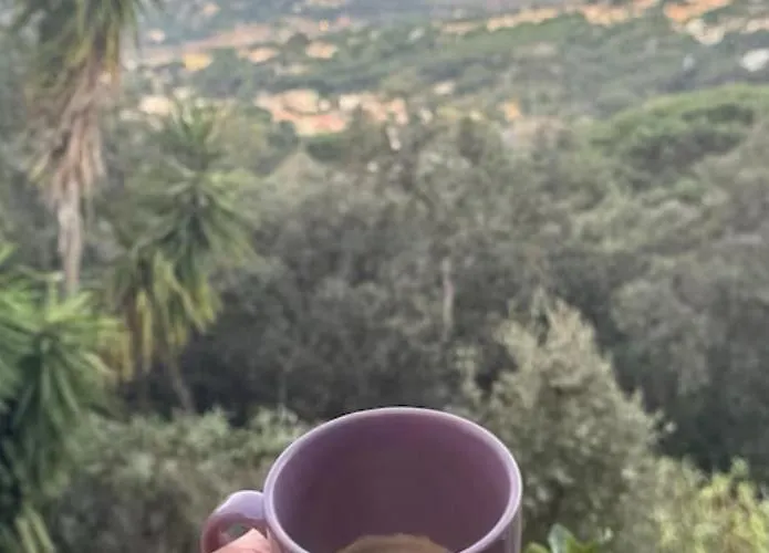 Semaphore Piscine Gratuite Juillet Et Aout Parking Prive Διαμέρισμα *