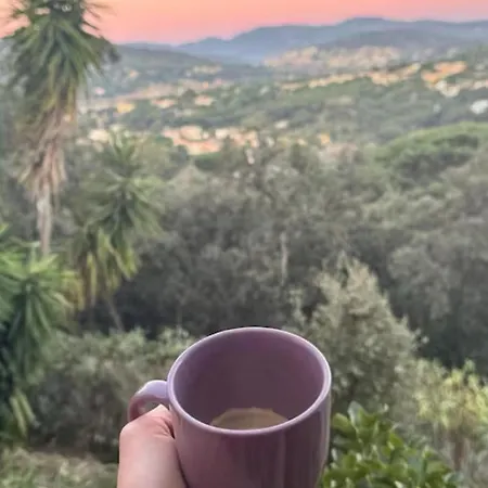 Semaphore Piscine Gratuite Juillet Et Aout Parking Prive 아파트 *